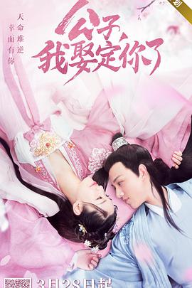 公子，我娶定你了(全集)