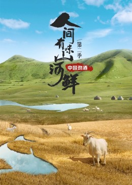 人間有味山河鮮第二季(全集)