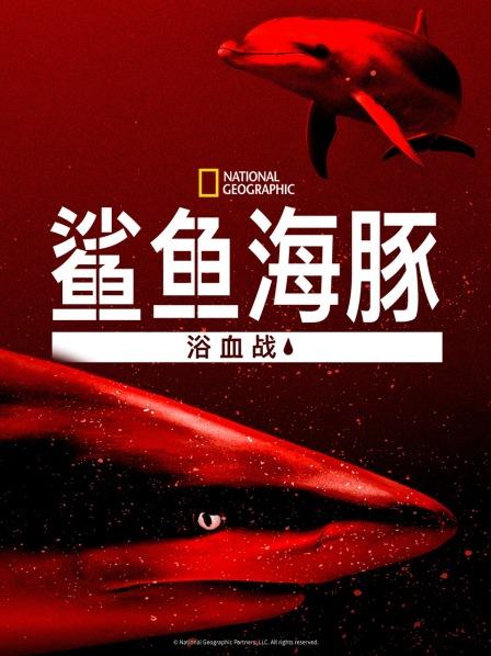 鯊魚海豚浴血戰(zhàn)(全集)