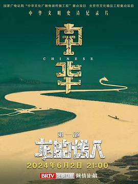 中華：龍的傳人(全集)