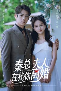 秦總，夫人在找你離婚(全集)
