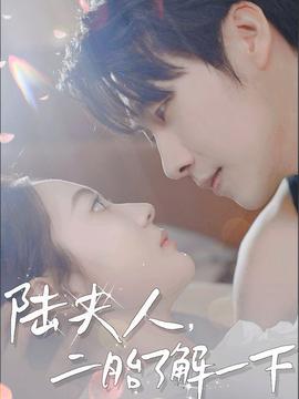陸夫人，二胎了解一下(全集)