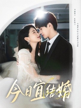 今日宜結婚(全集)