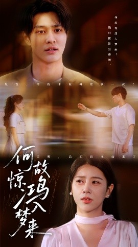 何故驚鴻入夢(mèng)來(全集)