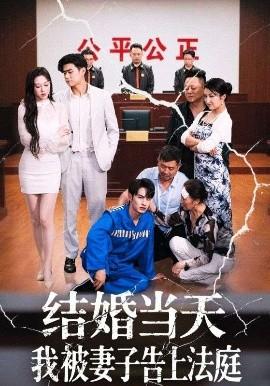 結(jié)婚當天我被妻子告上法庭(全集)