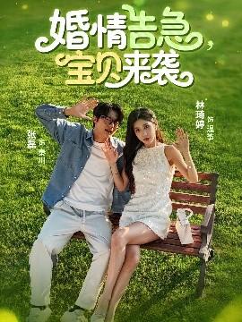 婚情告急，寶貝來襲(全集)