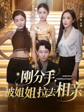 剛分手，被姐姐拉去相親(全集)