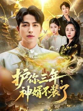 護(hù)你三年，神婿不裝了(全集)
