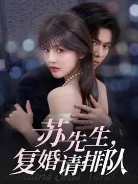 蘇先生，復婚請排隊(全集)
