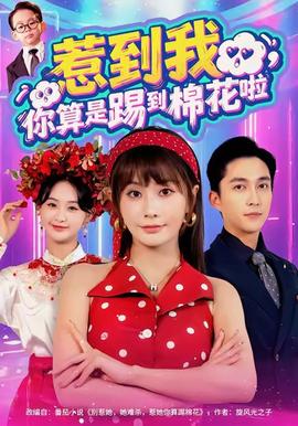 惹到我，你算是踢到棉花啦(全集)