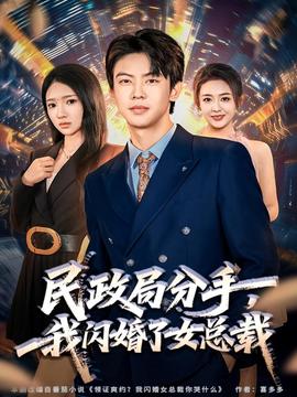 民政局分手，我閃婚了女總裁(全集)