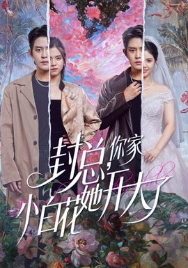 封總，你家小白花她開大了(全集)