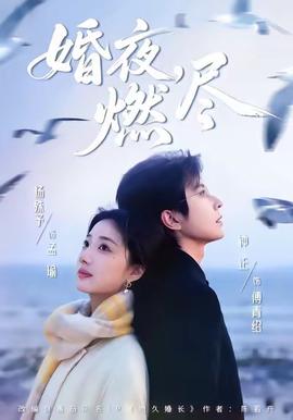 婚夜，燃盡(全集)