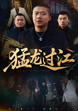猛龍過江(全集)