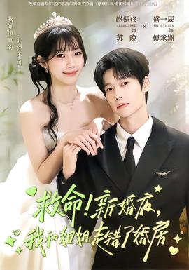 救命！新婚夜，我和姐姐走錯了婚房(全集)