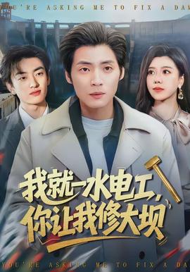 我就一水電工，你讓我修大壩(全集)