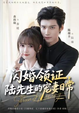 閃婚領(lǐng)證，陸先生的寵妻日常(全集)