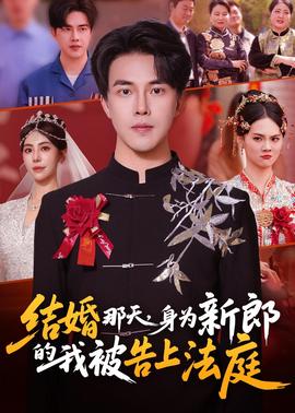 結(jié)婚那天，身為新郎的我被告上法庭(全集)